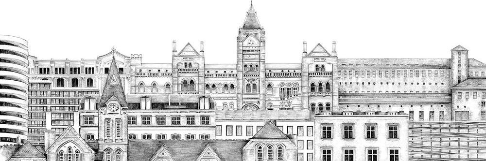 Avignon Capital banner