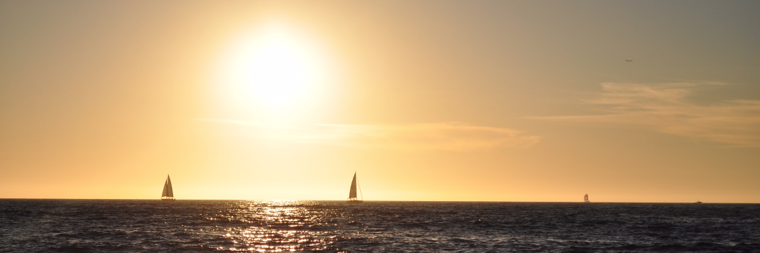 Vigor W. H. Lam 林偉漢 banner