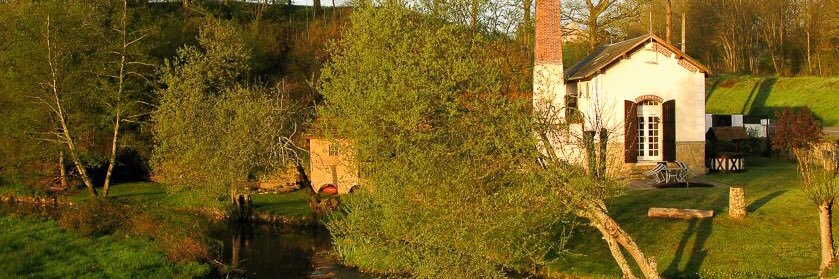 janewarnes's profile banner image