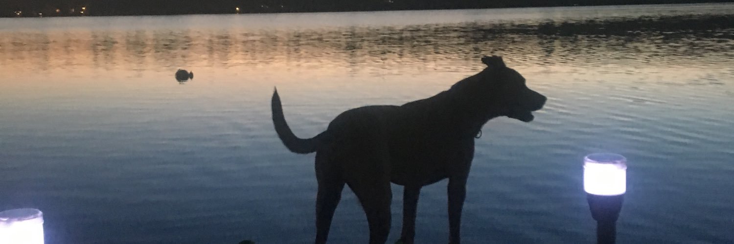 Sarah_Jean6's profile banner image