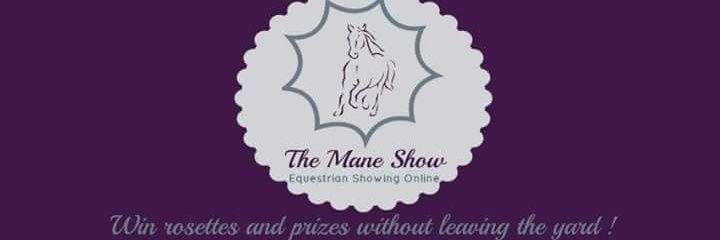 maneshowtweet's profile banner image