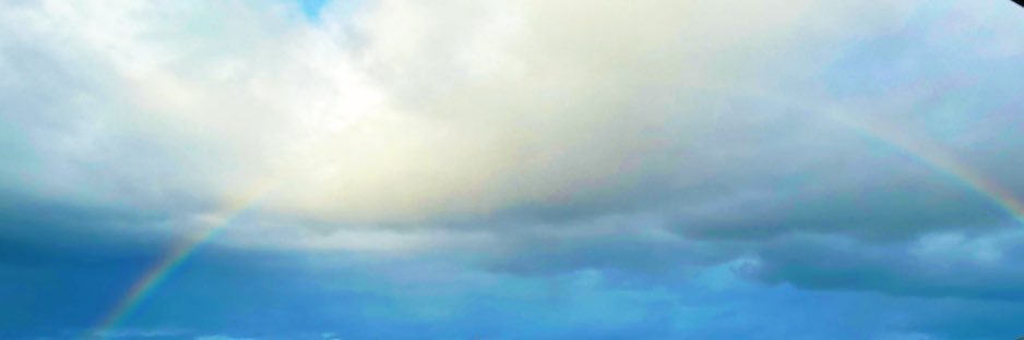 ankokomati's profile banner image