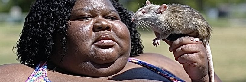 Calvin Candie Jr. banner