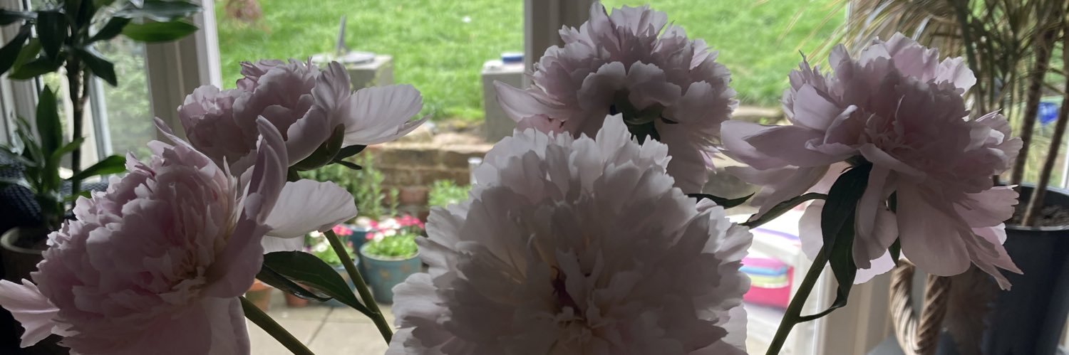 LITTLEMMAPOTT's profile banner image