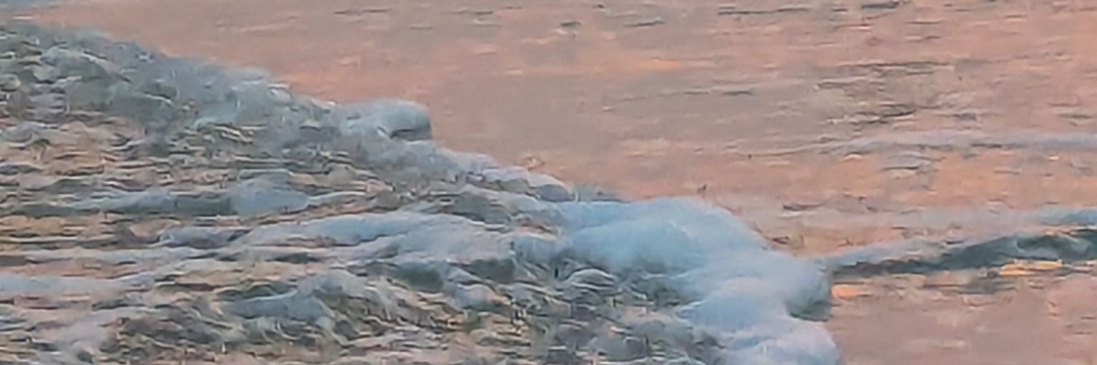 beachlife0001's profile banner image