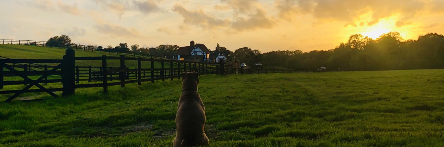 Mattwbrfc's profile banner image