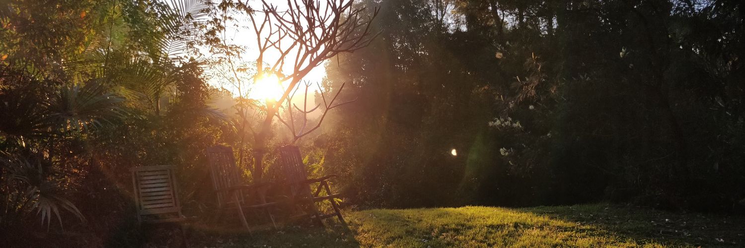 the_shaz's profile banner image