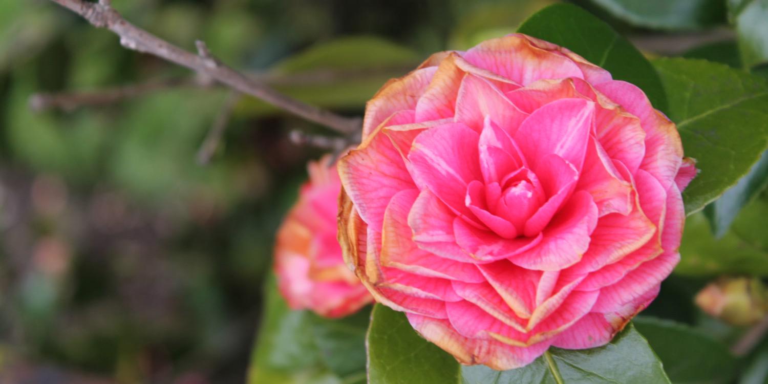 EmmaStaff2's profile banner image