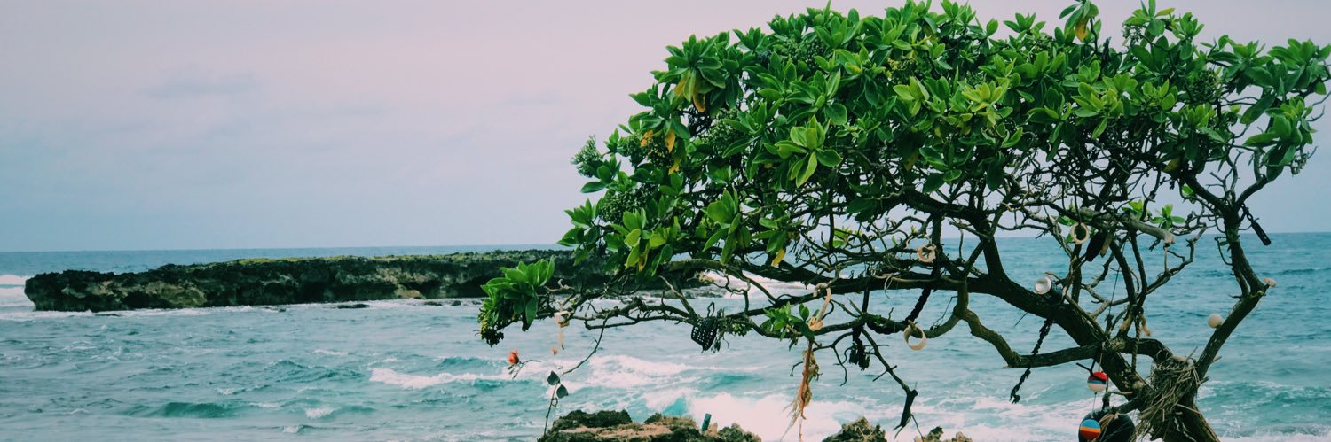 issa_johnston's profile banner image