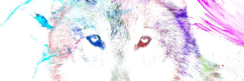 _ErikMonroy's profile banner image