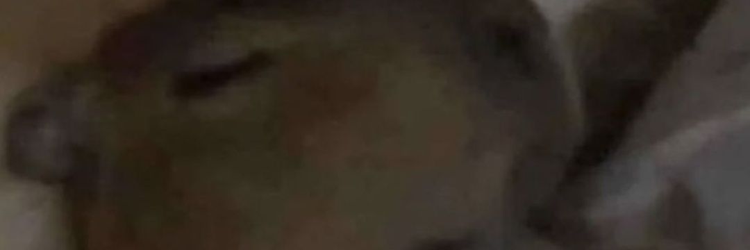 DhepXD's profile banner image