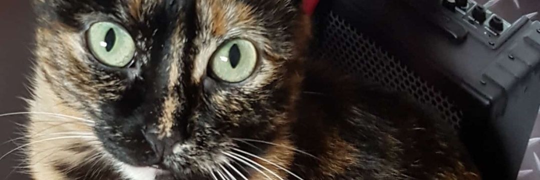 camfal's profile banner image