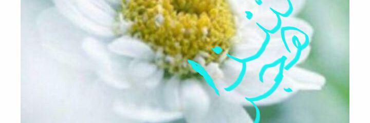 saafathajar's profile banner image