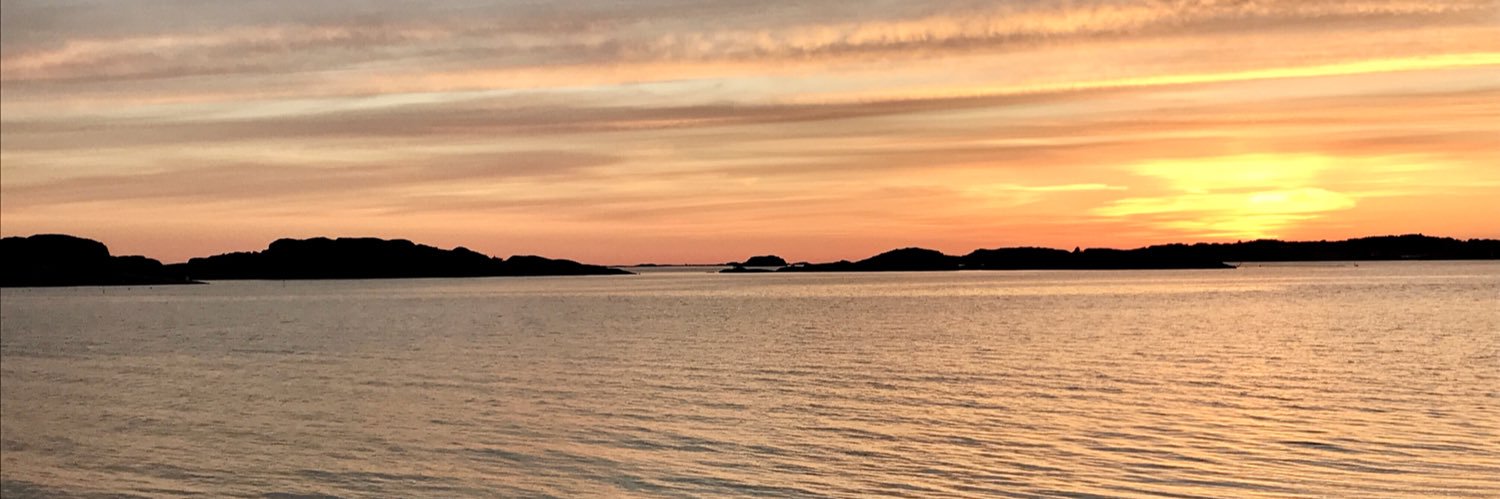 🇺🇦 Per Ravn Myhre banner