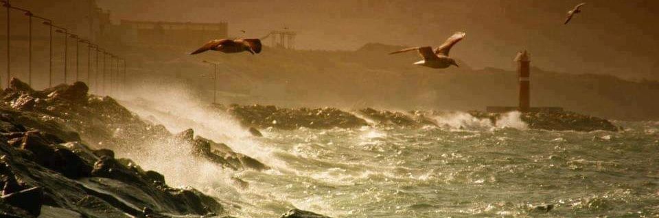 Alpaslan ARABACI banner