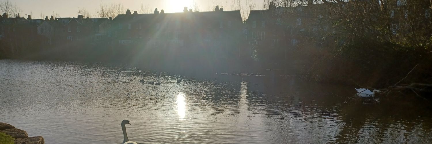 KatherineBelli2's profile banner image