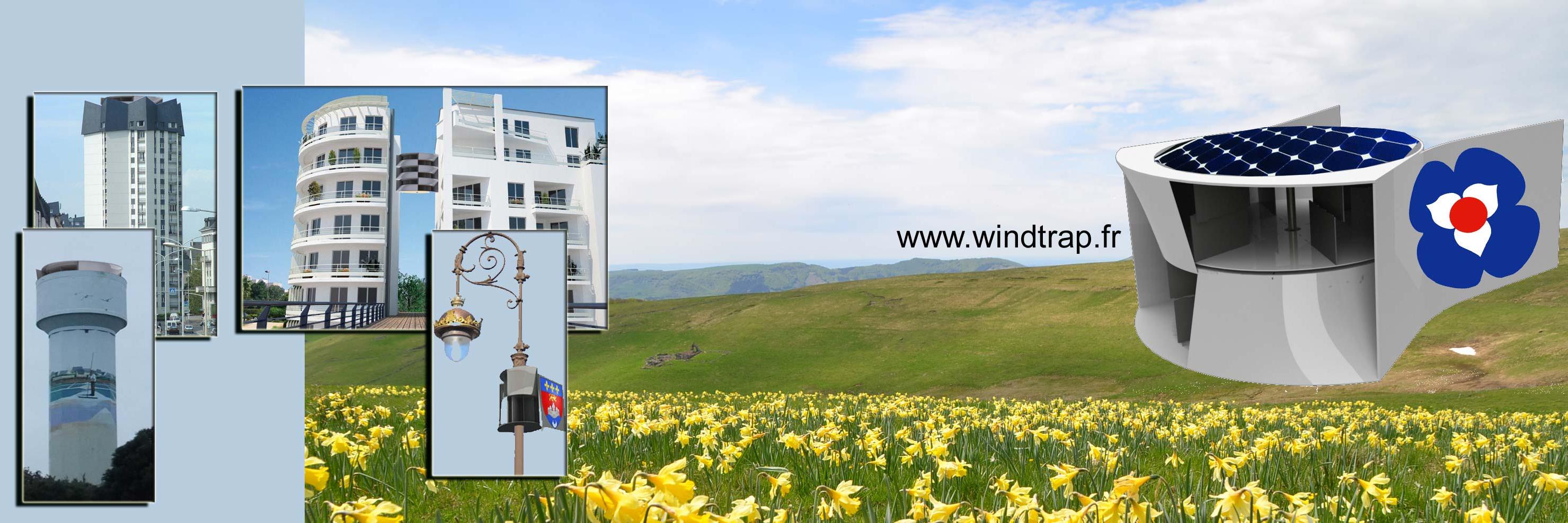 M S banner