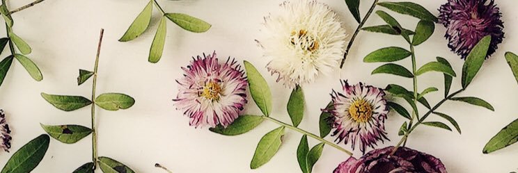 deserteaglev's profile banner image