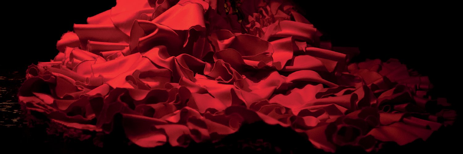 symphonyball's profile banner image