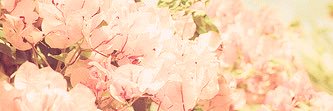 rahaff5068's profile banner image