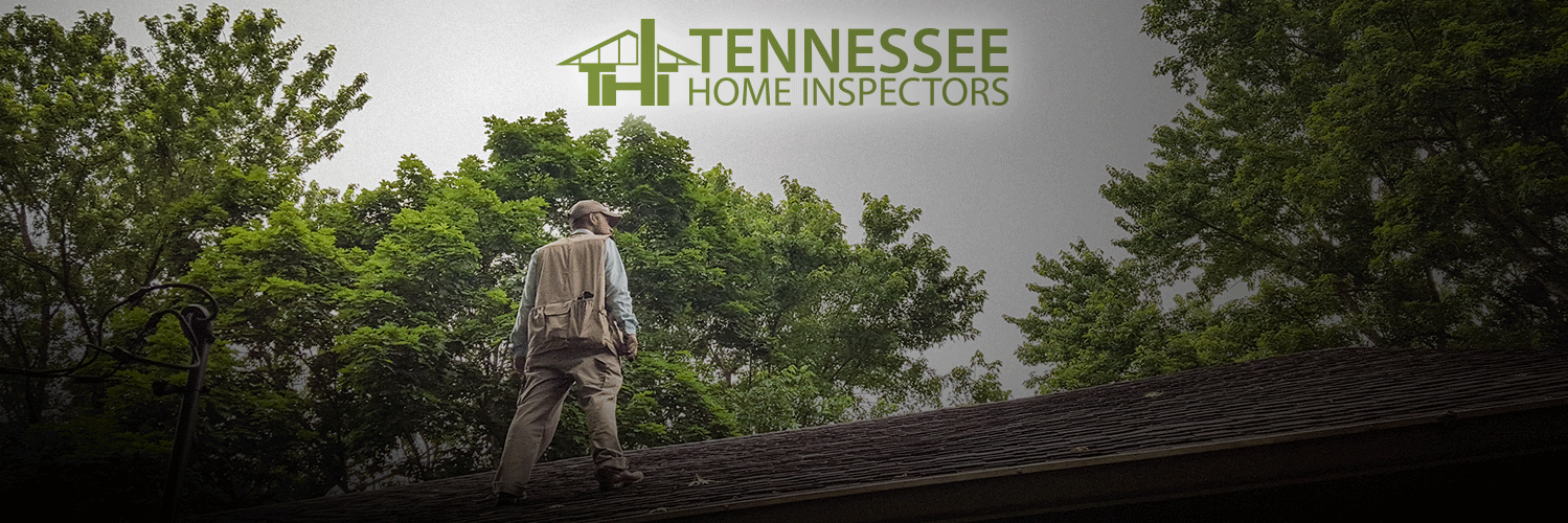 tninspect's profile banner image