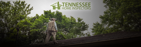 tninspect Profile Banner