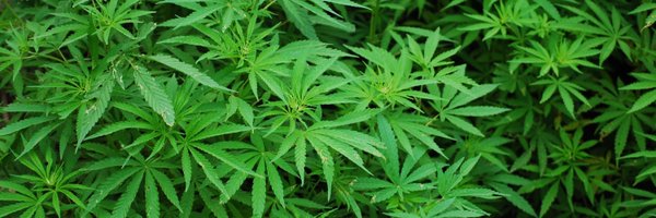 Andrew_DeAngelo Profile Banner