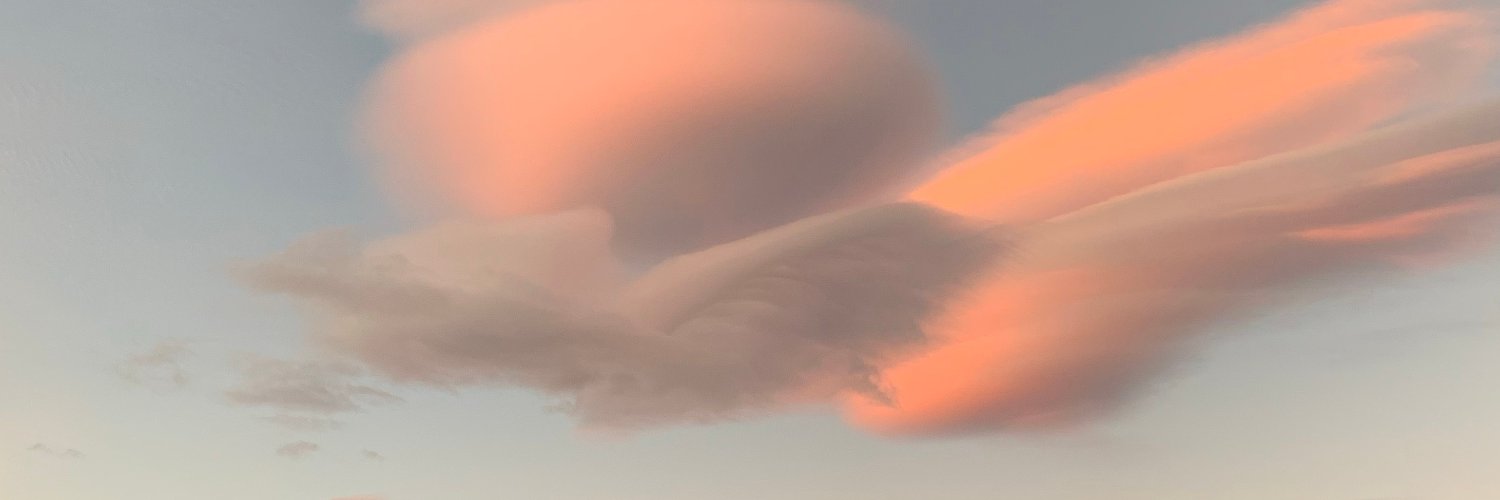 Olga Bedrina banner
