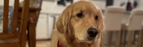 EQguy44 Profile Banner