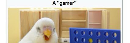 Derfle22's profile banner image