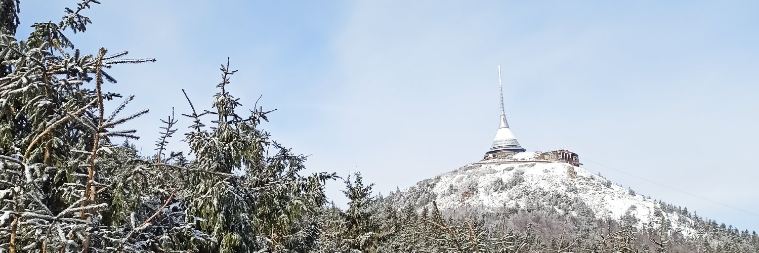 VJanatova's profile banner image