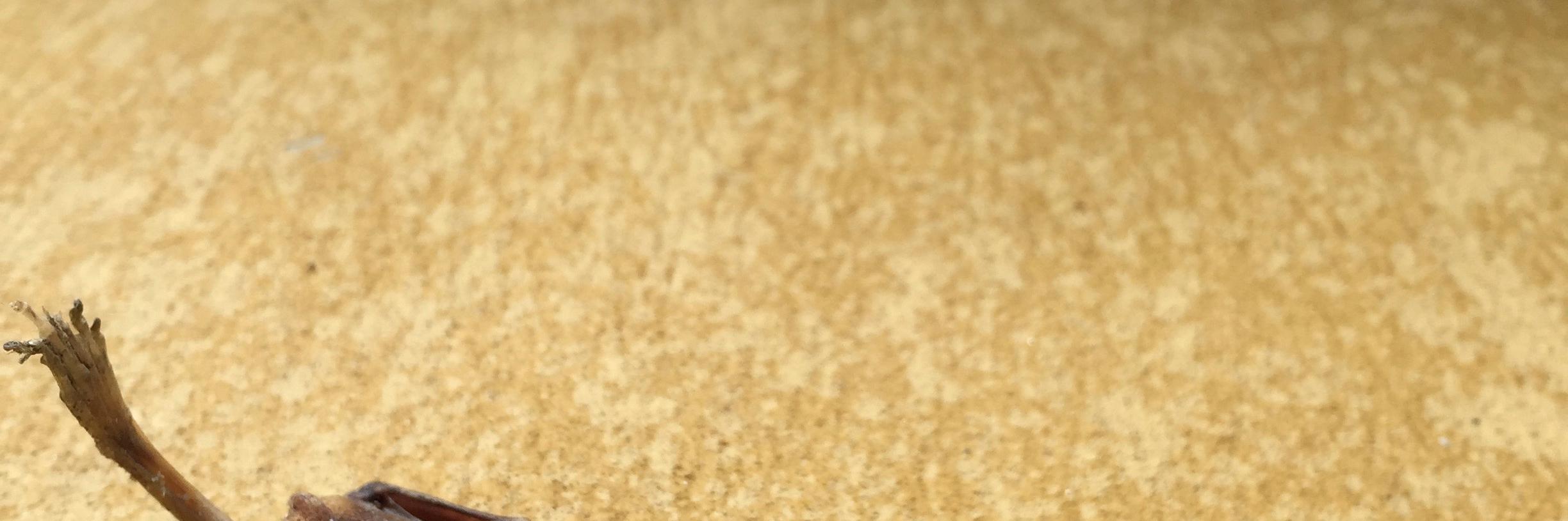 1VQ9's profile banner image