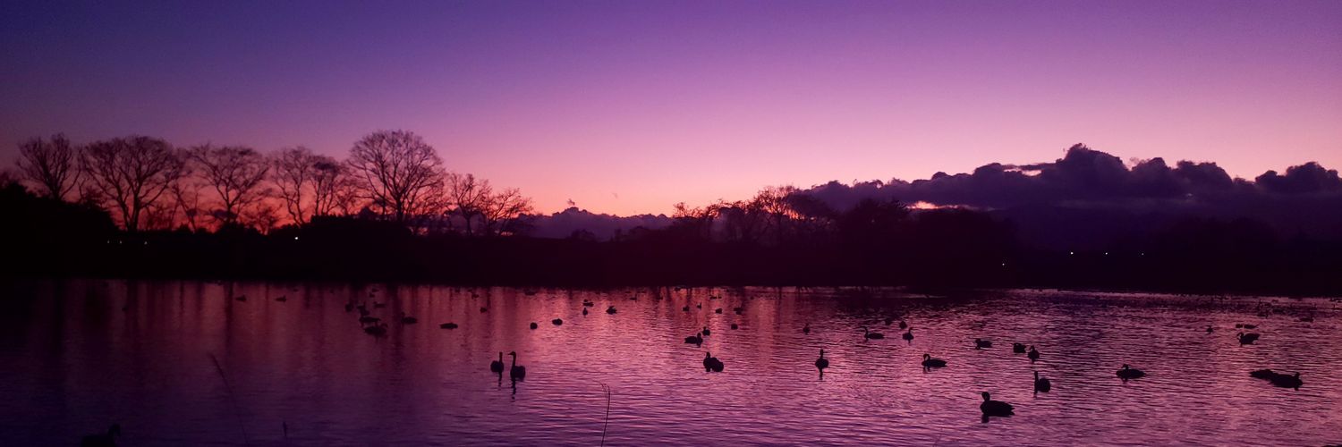 たっつん🍃 banner