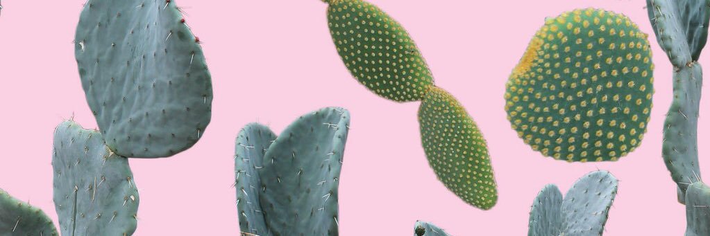 ArizonaTriDelta's profile banner image