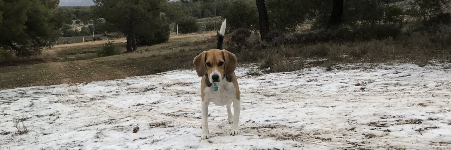 JavierHitos's profile banner image
