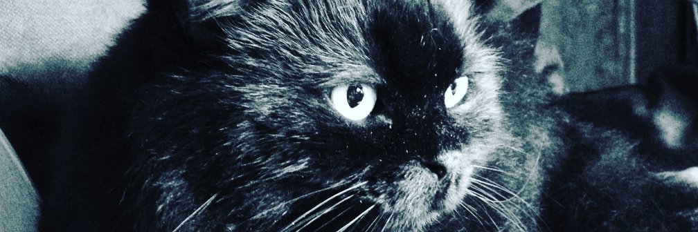 TheOriginalBlackCat banner