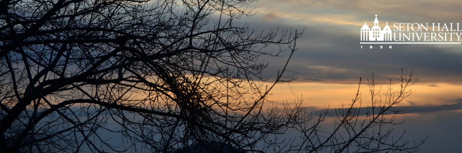 HallFreshman's profile banner image