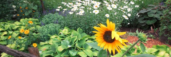 MarkCullen4 Profile Banner