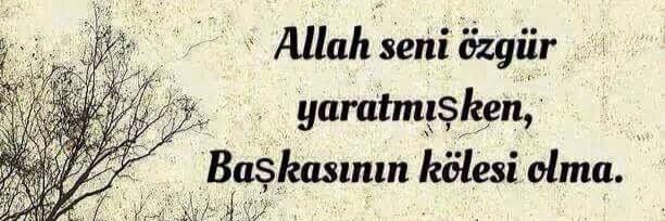 serdartan4's profile banner image