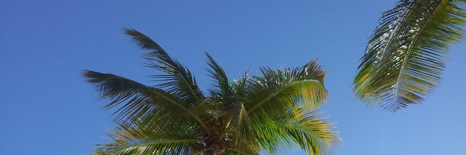 Ricky_Sanna's profile banner image