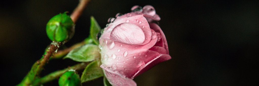 angiereed1979's profile banner image