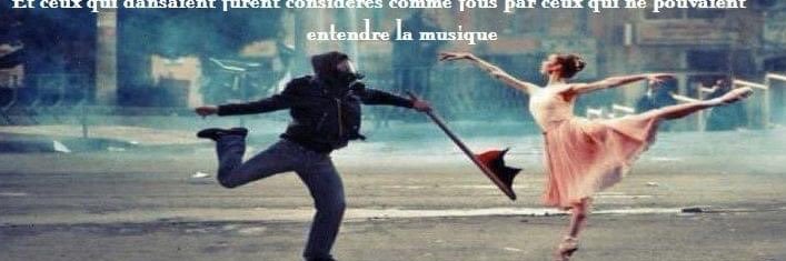 ariane walter banner