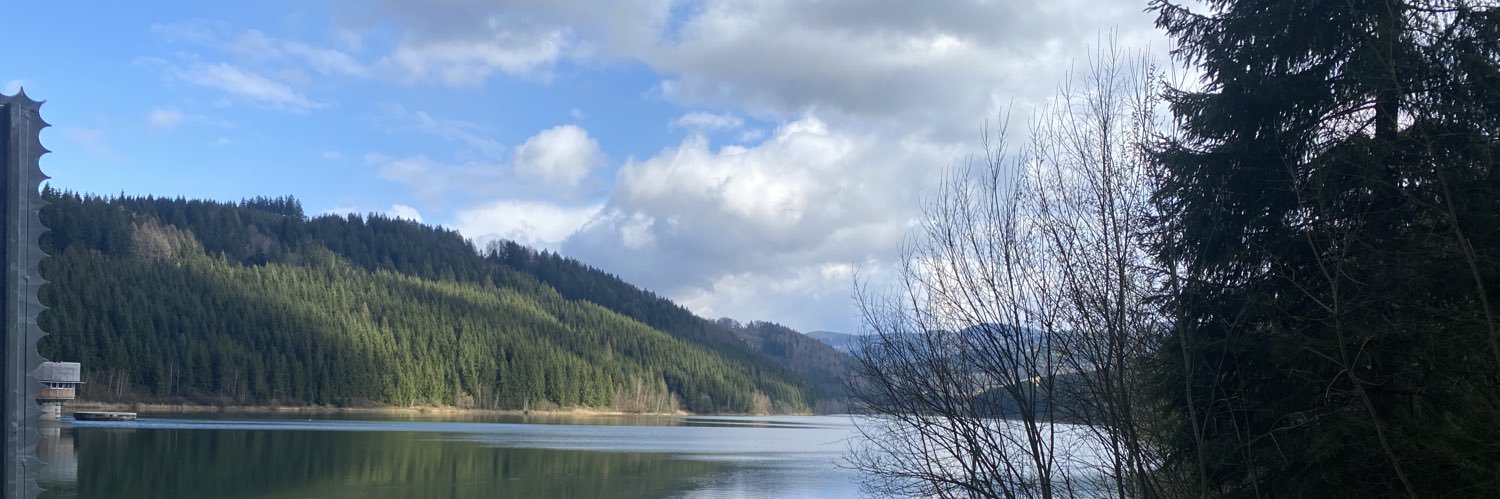 voldemar_v's profile banner image