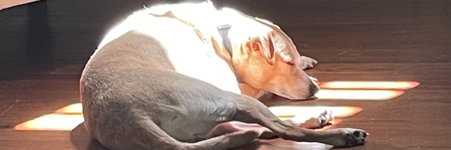 Brandon Rhodes banner