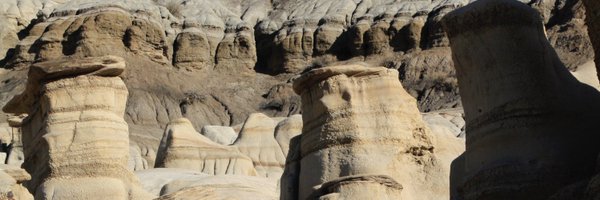 WenDB_AB Profile Banner