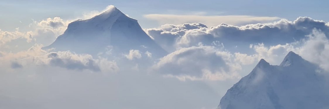 Karol Pankiewicz banner