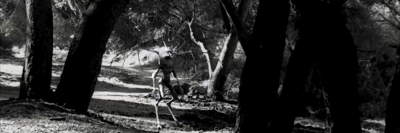 GirlsLoveHorror's profile banner image