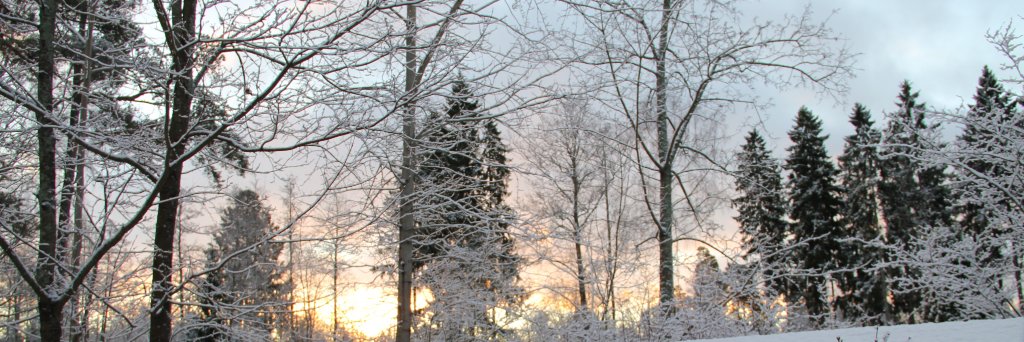 sannamar's profile banner image