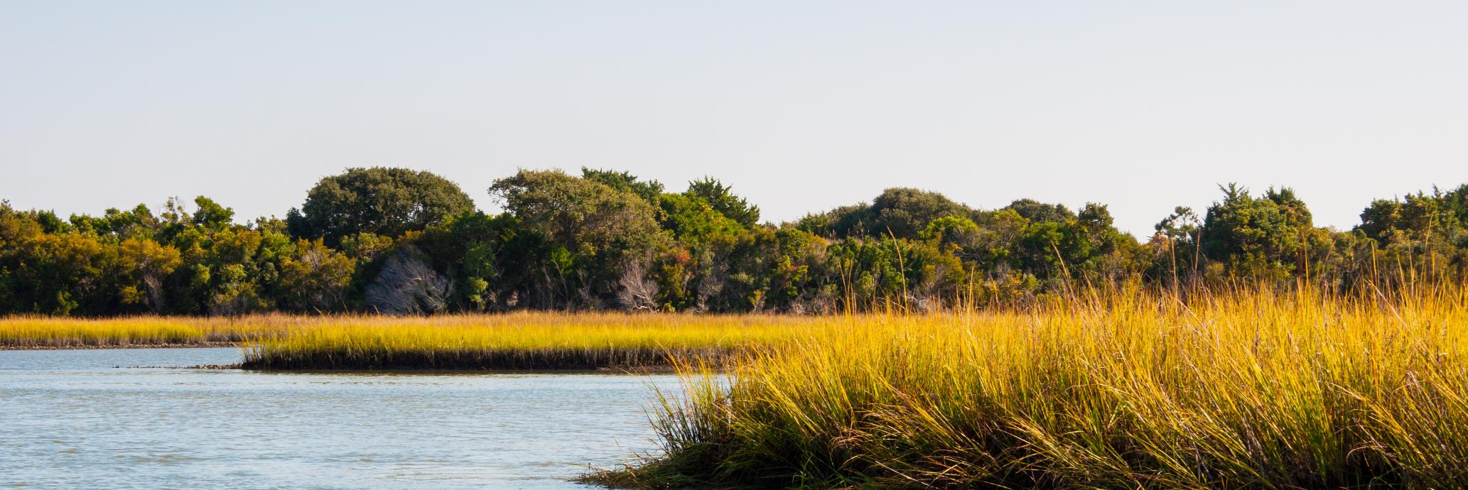 NC Assn. of SWCD banner