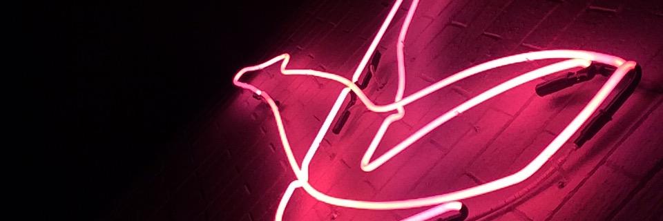 fluxcapacitorr's profile banner image